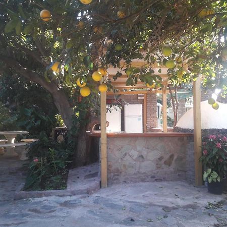 Finca Los Aguacates Трапиче Экстерьер фото